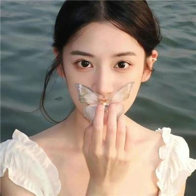 魅影追击